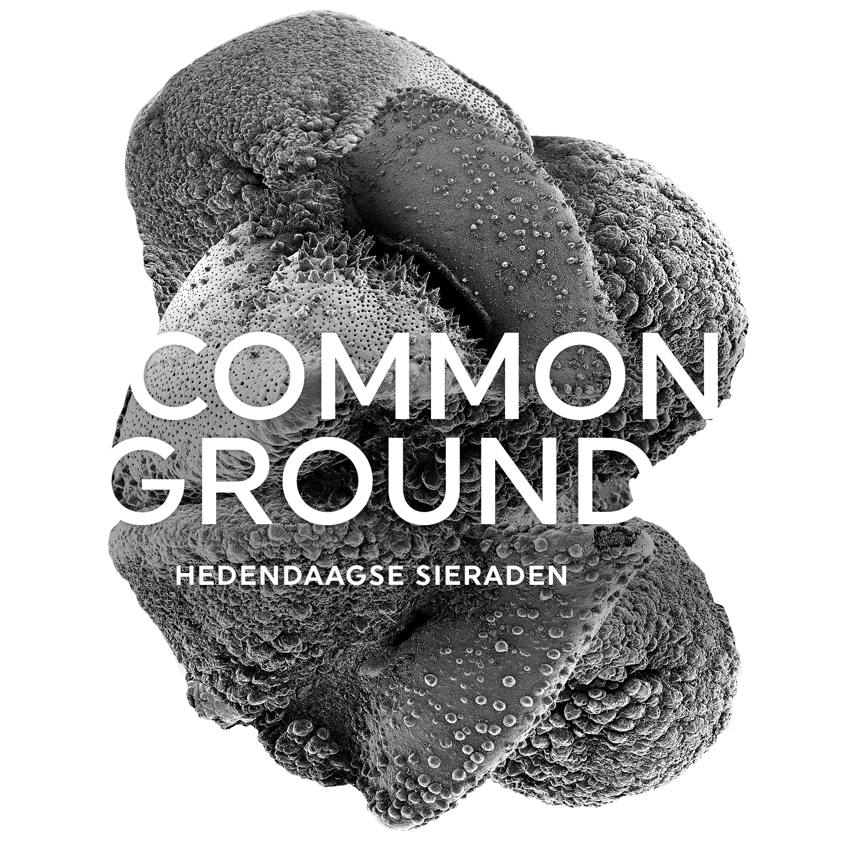common ground