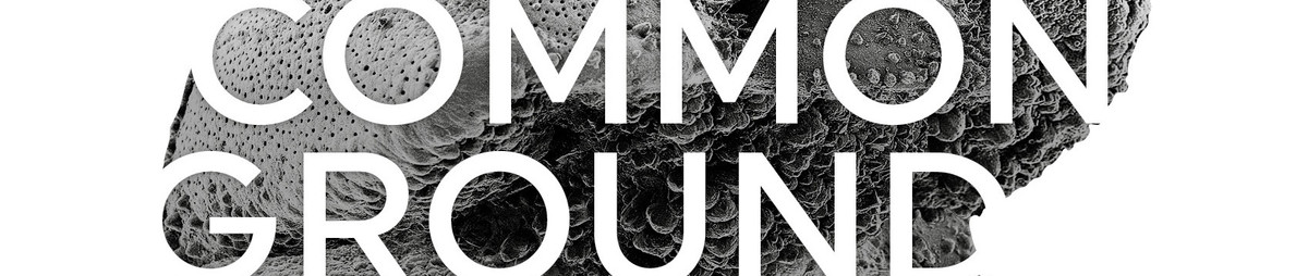 websitebanner_commonground.jpg