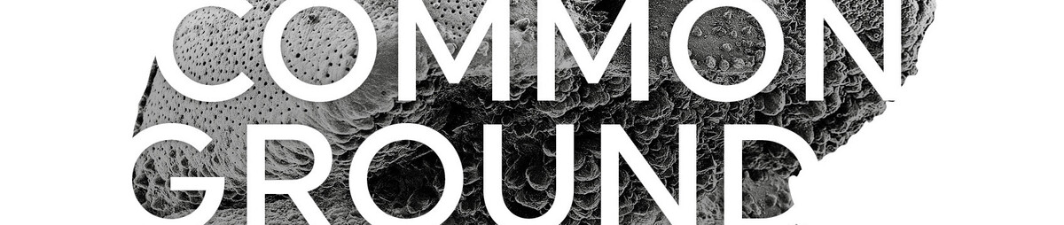 websitebanner_commonground.jpg