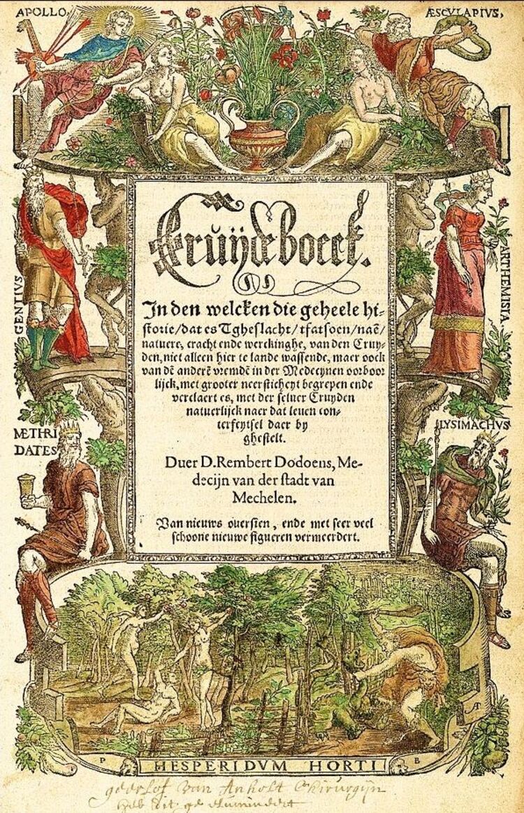 Rijk gedecoreerde cover van het "Cruydeboeck" met kader van figuren rond de centrale titel.